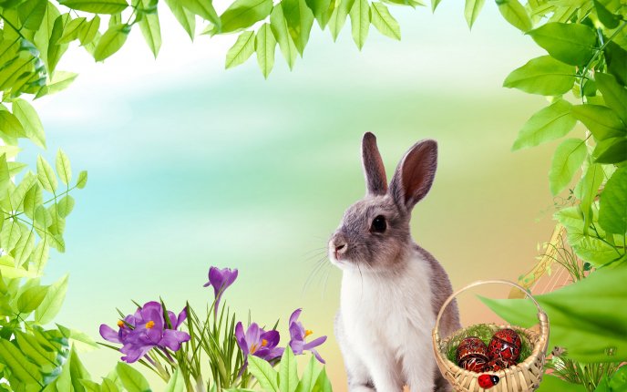 4470_Rabbit-with-traditional-Easter-eggs