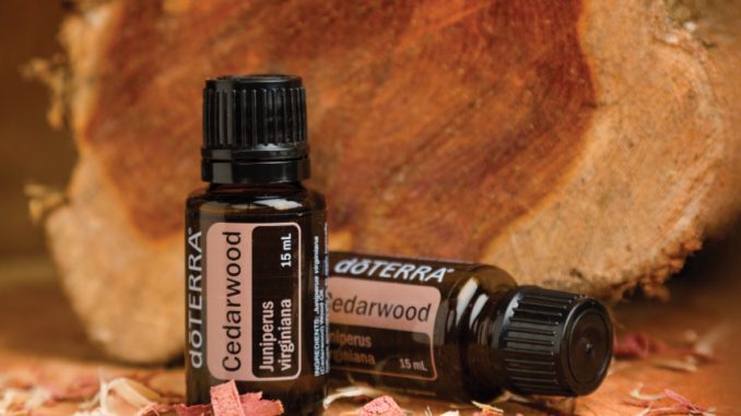 Масла дотера. Эфирное масло кедра ДОТЕРРА. Эфирное масло Cedarwood. Сандаловое дерево ДОТЕРРА. Эфирное масло Sandalwood ДОТЕРРА.