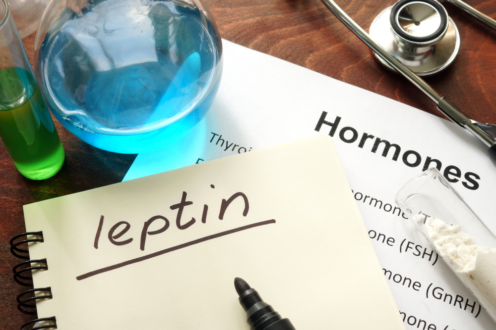 leptin hormone