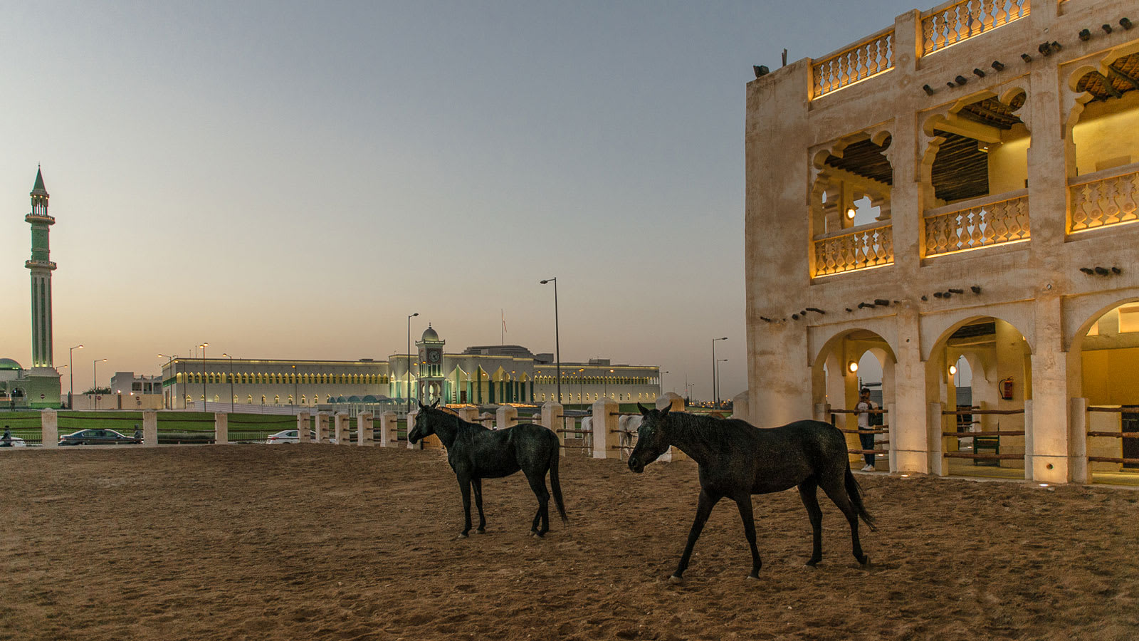 الخيول العربية في سوق واقف