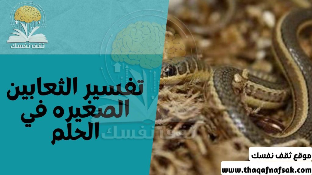 الحلم بالثعابين الكثيرة