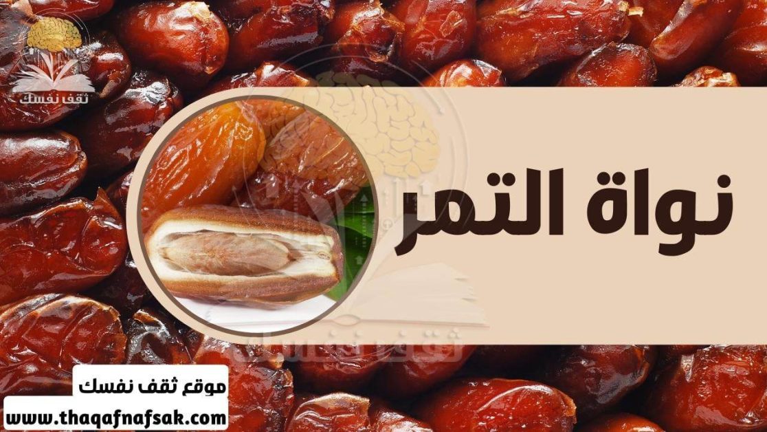 نواة التمر