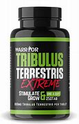 5. مكملات تريبولوس تيريستريس Tribulus terrestris terrestris supplement