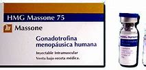 Human menopausal gonadotropin 