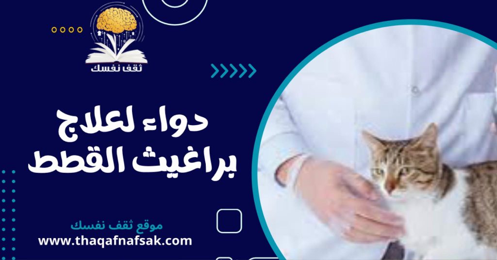 دواء لعلاج براغيث القطط