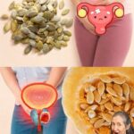 دليلك لتجديد مثانتك وبروستاتك بوصفات طبيعية !