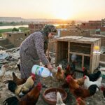 قصة : سلفتي تتربص بطموحي ومشروعي