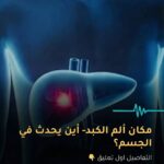 مكان الم الكبد في الجسم
