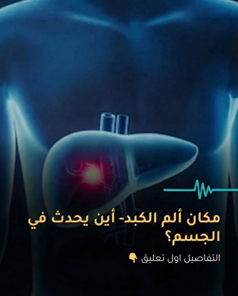 مكان الم الكبد في الجسم