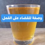 التخلص من القمل