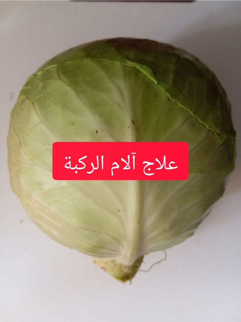 كمادات الكرنب لعلاج الم الركبة وخشونة المفاصل