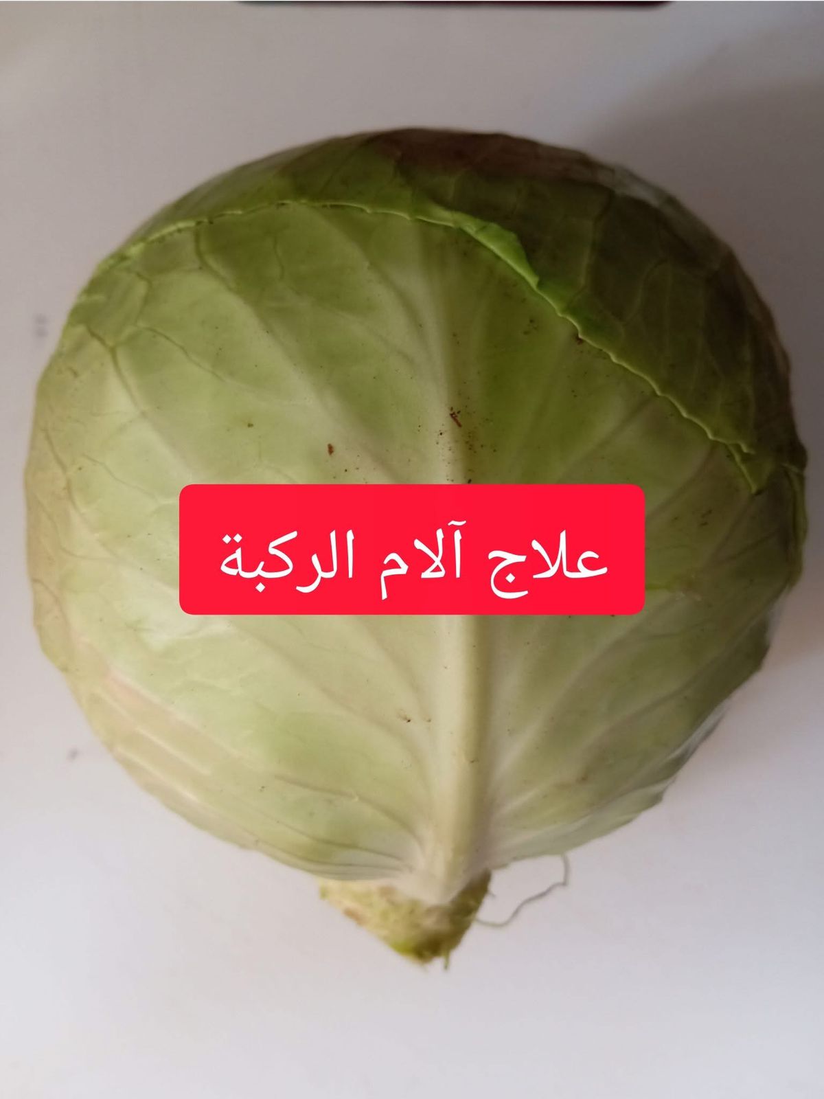 كمادات الكرنب لعلاج الم الركبة وخشونة المفاصل