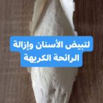 السيبيا للاسنان