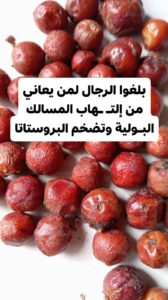 مشاكل المسالك البولية وتضخم البروستاتا