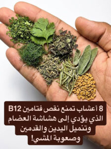 اعشاب تمنع نقص فيتامين ب 12