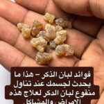 منقوع لبان الدكر للكلى والحالب