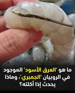 ما هو "العرق الأسود" في الروبيان (الجمبري)؟ وماذا يحدث إذا أكلته؟