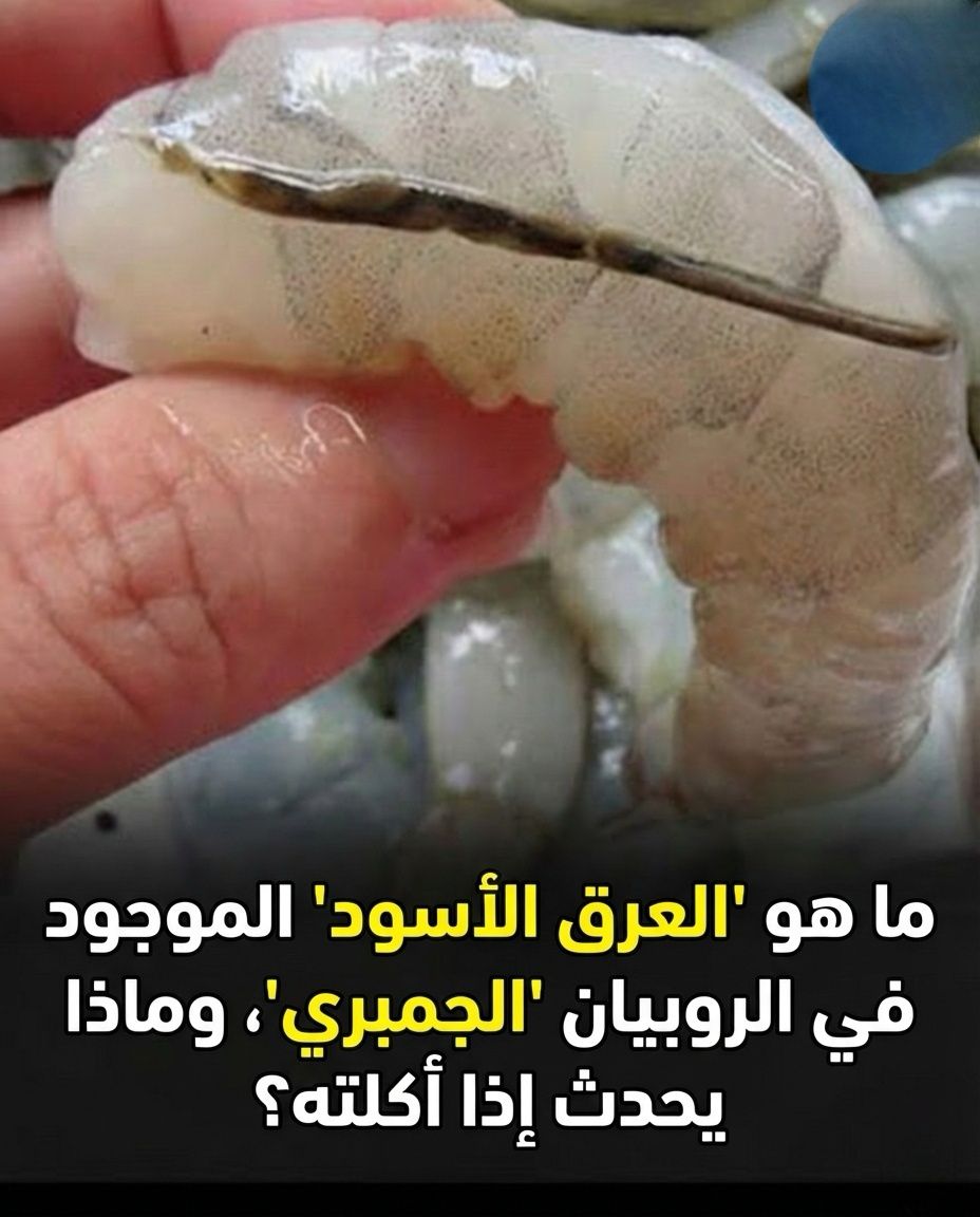 ما هو "العرق الأسود" في الروبيان (الجمبري)؟ وماذا يحدث إذا أكلته؟