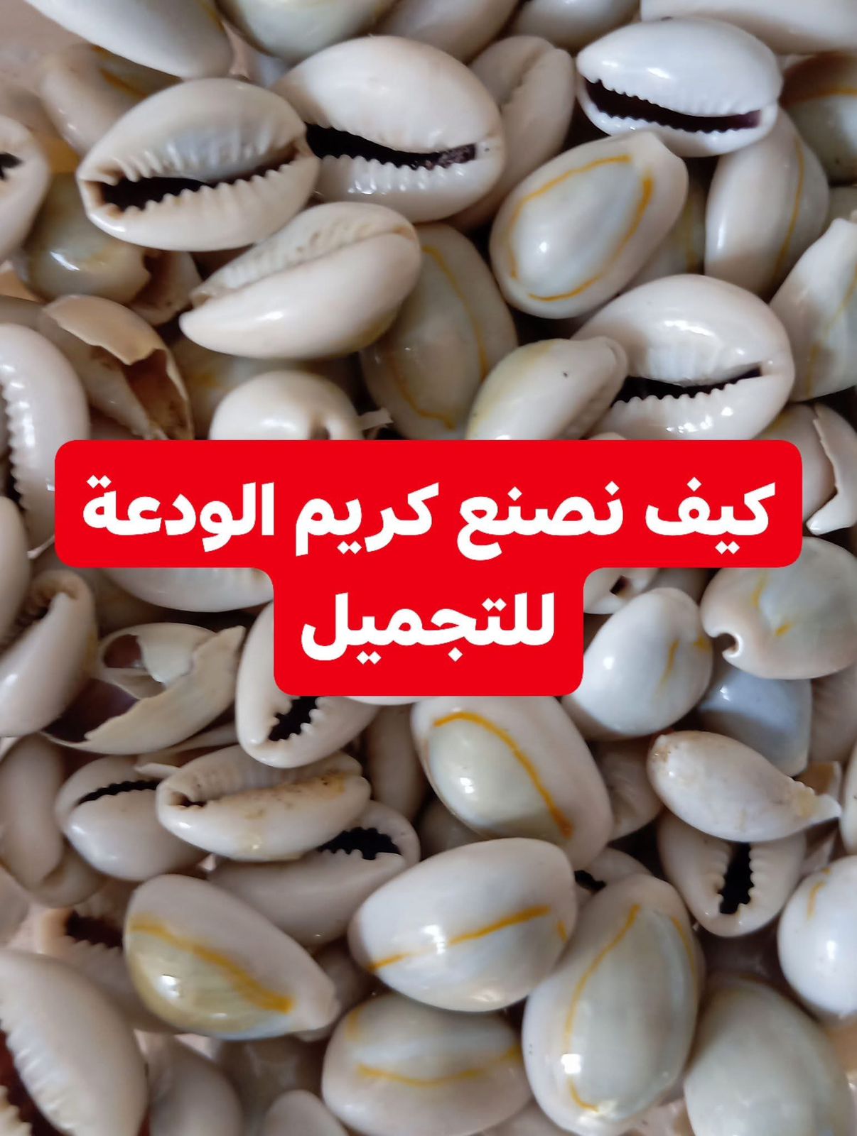 كريم الودعة