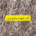 علاج الم المعدة والمصران