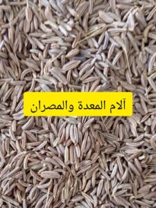 علاج الم المعدة والمصران