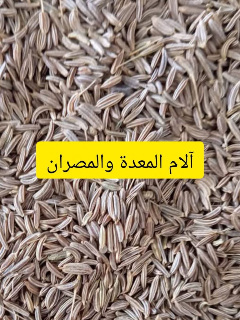 علاج الم المعدة والمصران