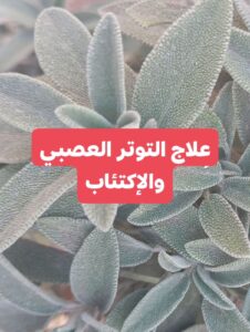 علاج التوتر وتحسين المزاج