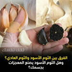 الثوم الأسود والثوم العادي
