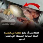 لماذا يجب عليك وضع ملعقة في الفريزر ؟