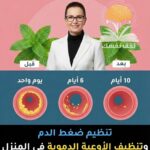 تنظيف الأوعية الدموية و تنظيم ضغط الدم