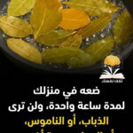 ورق الغار للحشرات