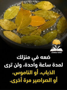 ورق الغار للحشرات