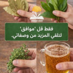 أقوى الأوراق النباتية