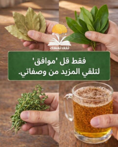 أقوى الأوراق النباتية